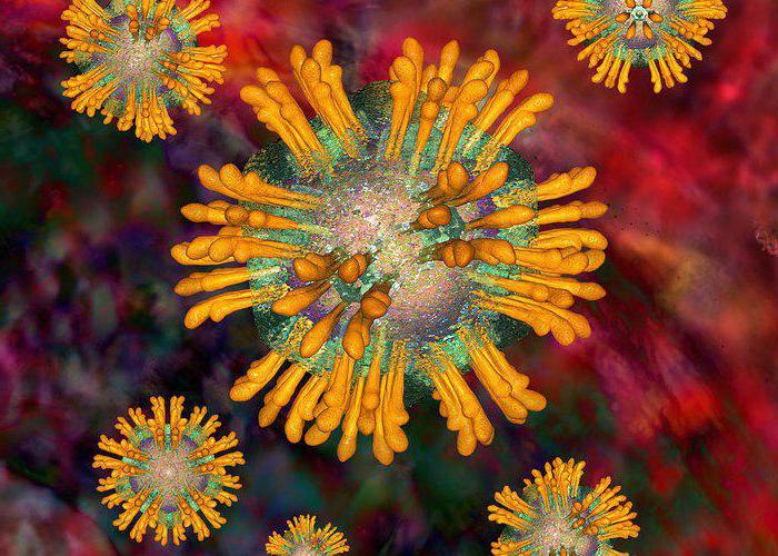 РНК вируса гепатита С