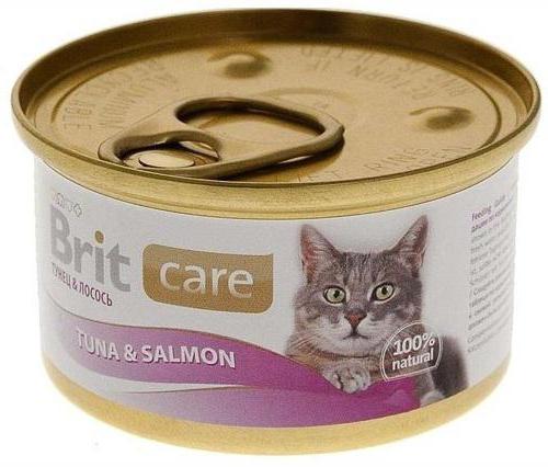 рейтинг кормов для кошек сухой влажный консервы 