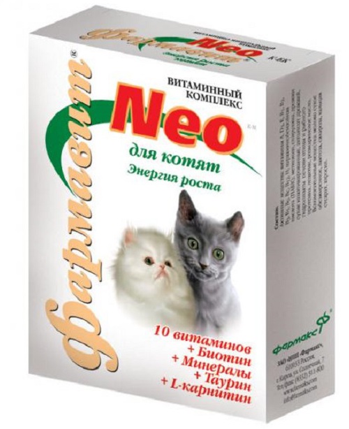 витамины для маленьких котов