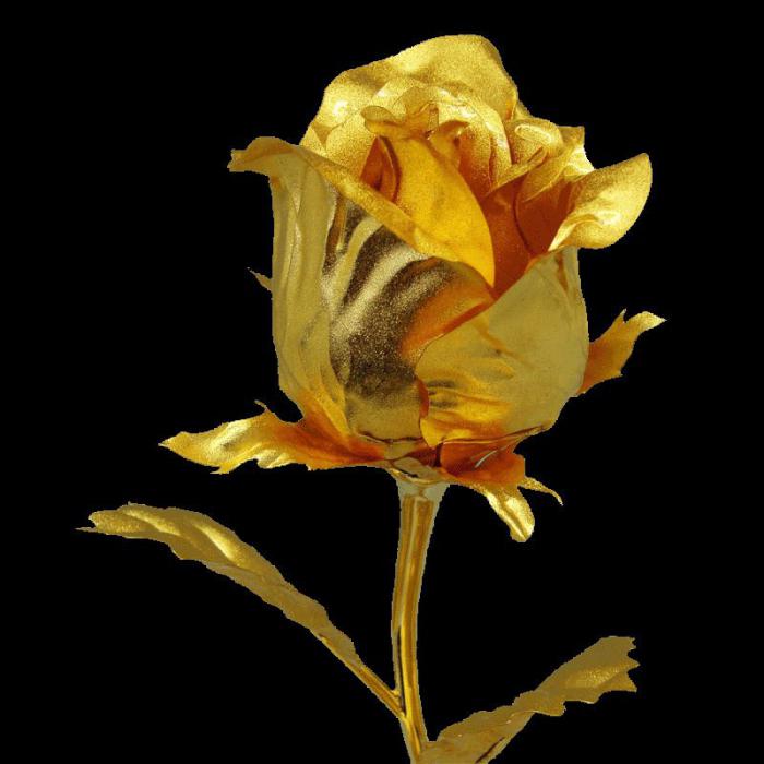 паустовский золотая роза краткое содержание