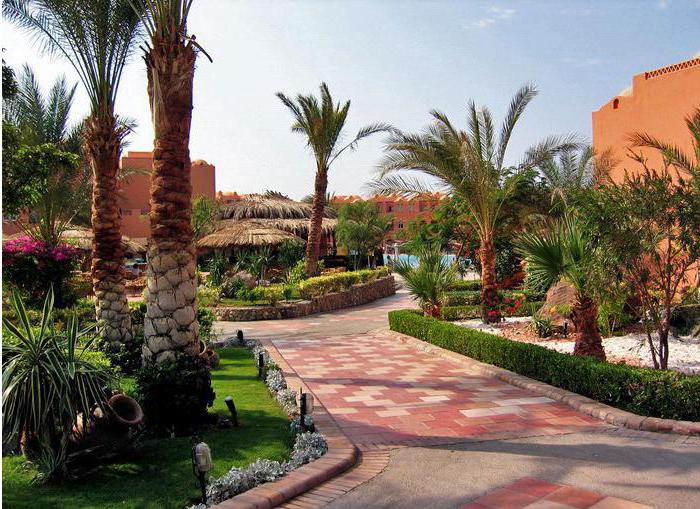  отель iberotel makadi oasis family resort 4 отзывы 