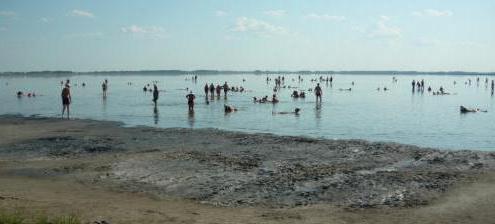  гуселетово алтайский край соленое озеро 