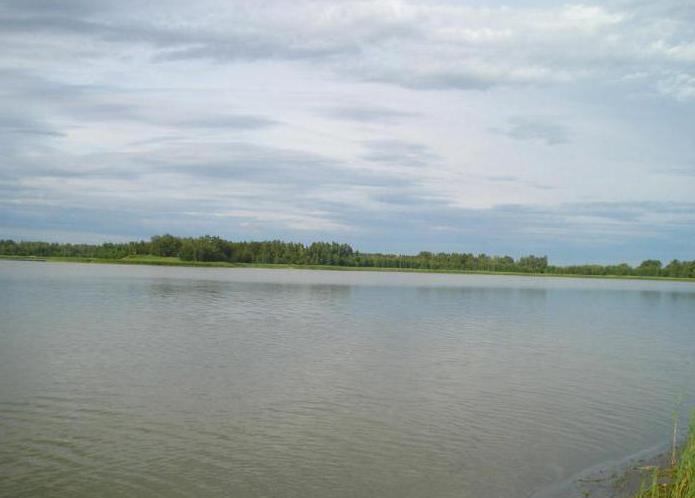 озеро гуселетово алтайский край