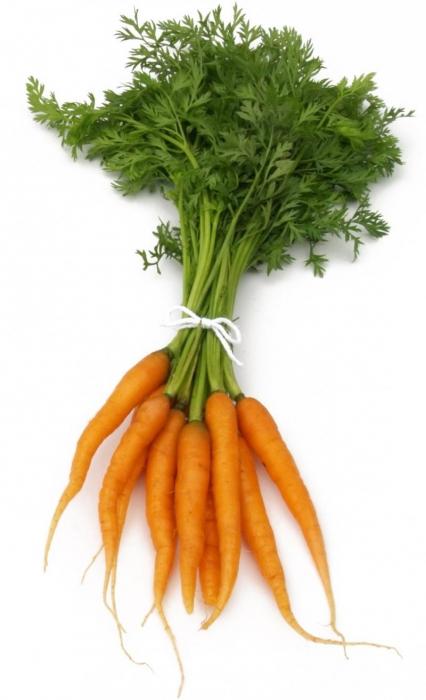 лечение морковной ботвой