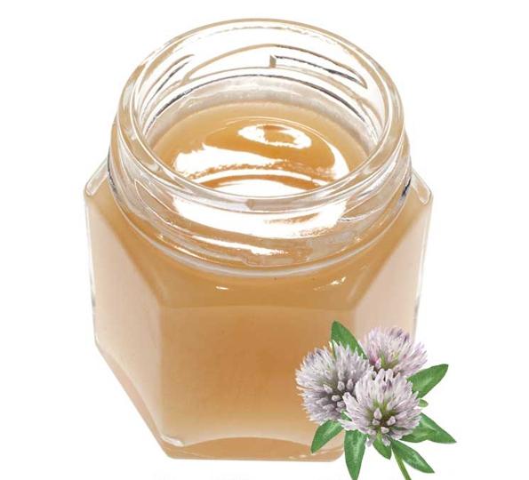 донниковый мед полезные свойства