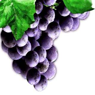 витамины в винограде киш миш