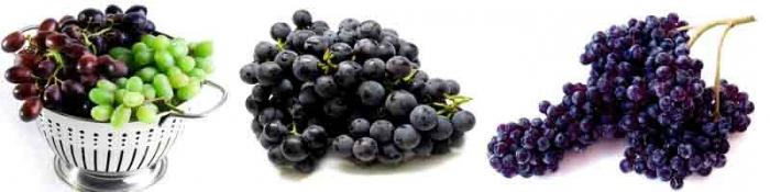 какие витамины содержатся в винограде