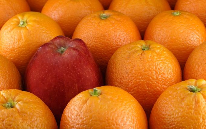 slimming oranges reviews