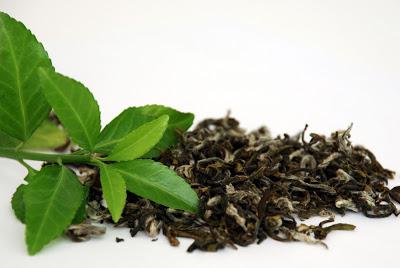 можно ли пить зеленый чай 