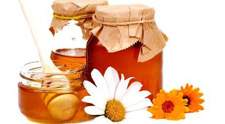 мед подсолнечный полезные свойства