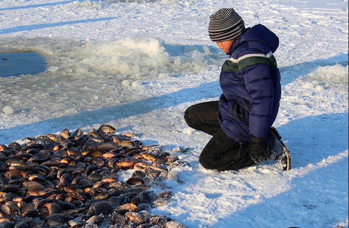 Russian fishing Lake Labynkyr