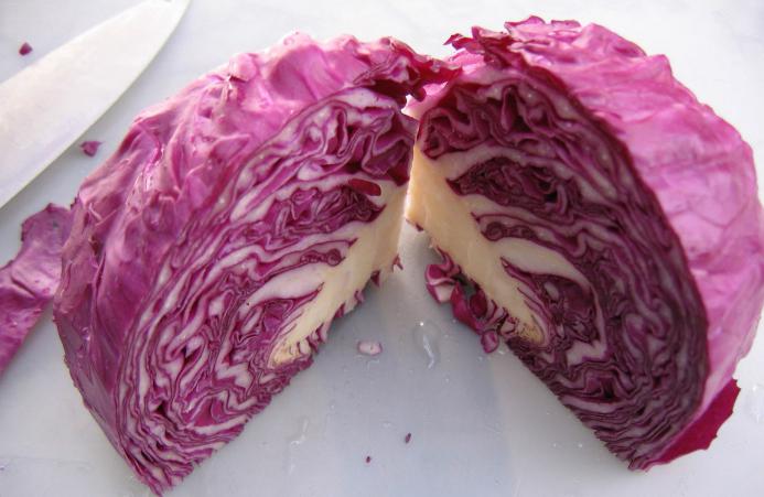 red cabbage benefit and harm