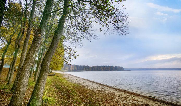 nature of the Brest region