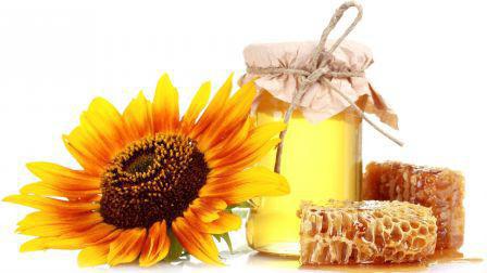 мед разнотравье полезные свойства и противопоказания 