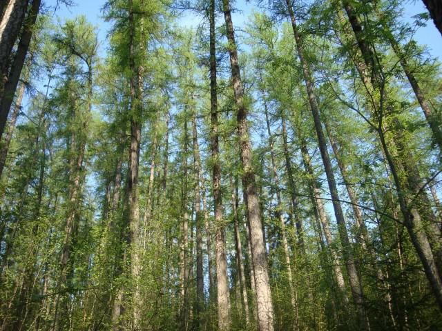 reserves and national parks of the Leningrad region