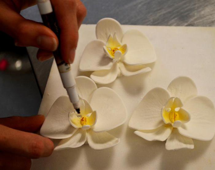 как сделать орхидею из мастики