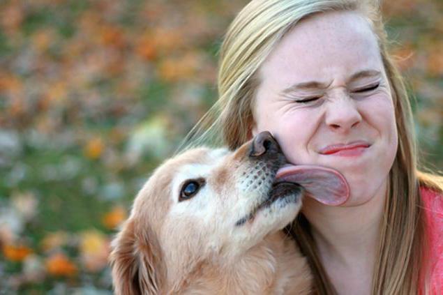 Через какое время проявляется аллергия на собаку у ребенка симптомы thumbnail