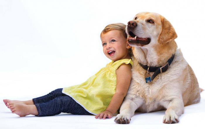 Через какое время проявляется аллергия на собак у детей thumbnail