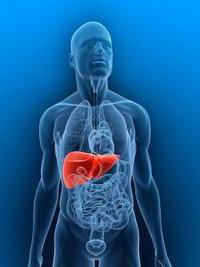 toxic hepatitis treatment