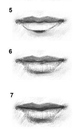 как красиво нарисовать губы
