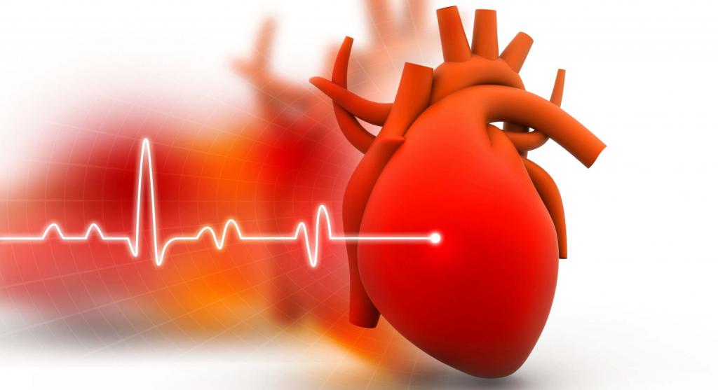 Что заставляет биться сердце человека. Что заставляет сердце биться? Что определяет ритм вашего сердца