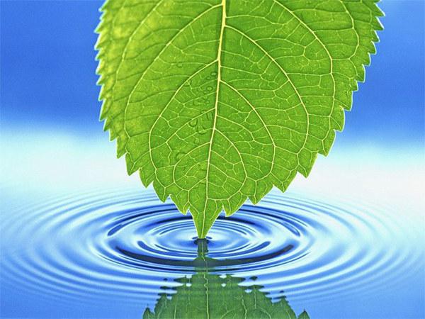 вода как источник жизни на земле