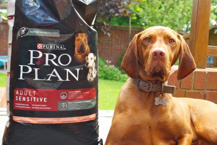 purina pro plan dog food