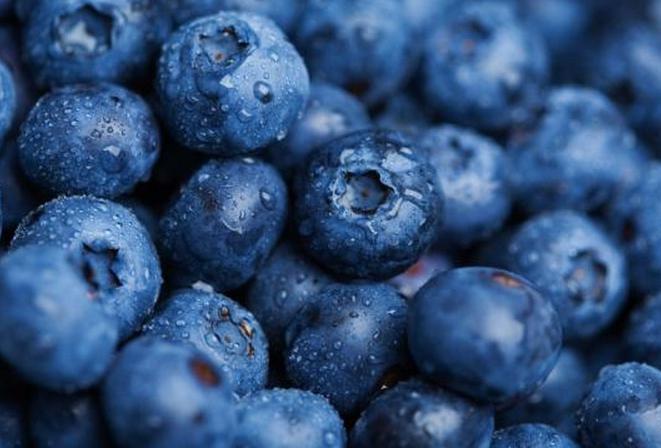blueberries during pregnancy third trimester