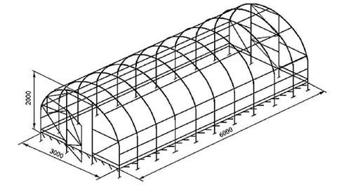 do-it-yourself greenhouses from a profile pipe