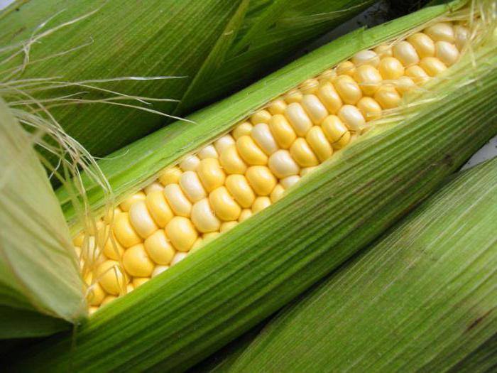 консервирование кукурузы в зернах в домашних условиях