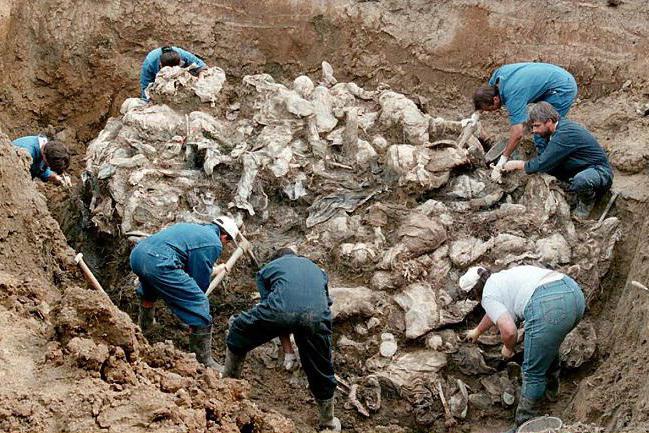 Srebrenica massacre causes