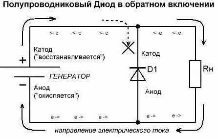 the anode and cathode of the diode