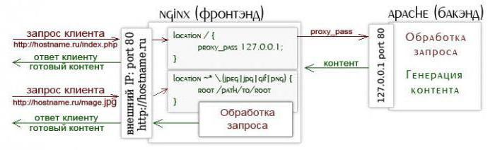 установка и настройка nginx