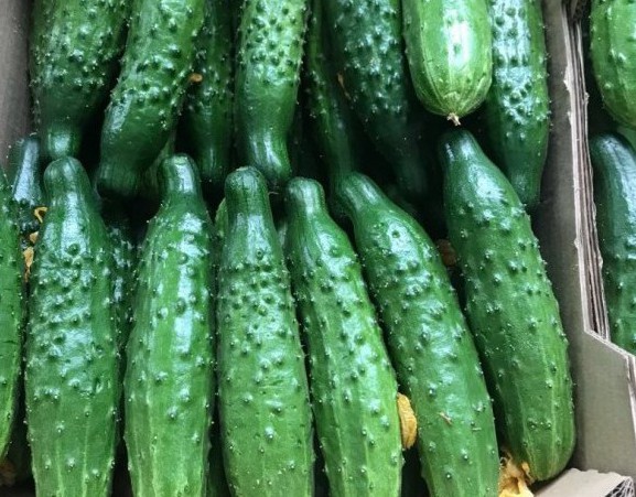 Athlete cucumbers