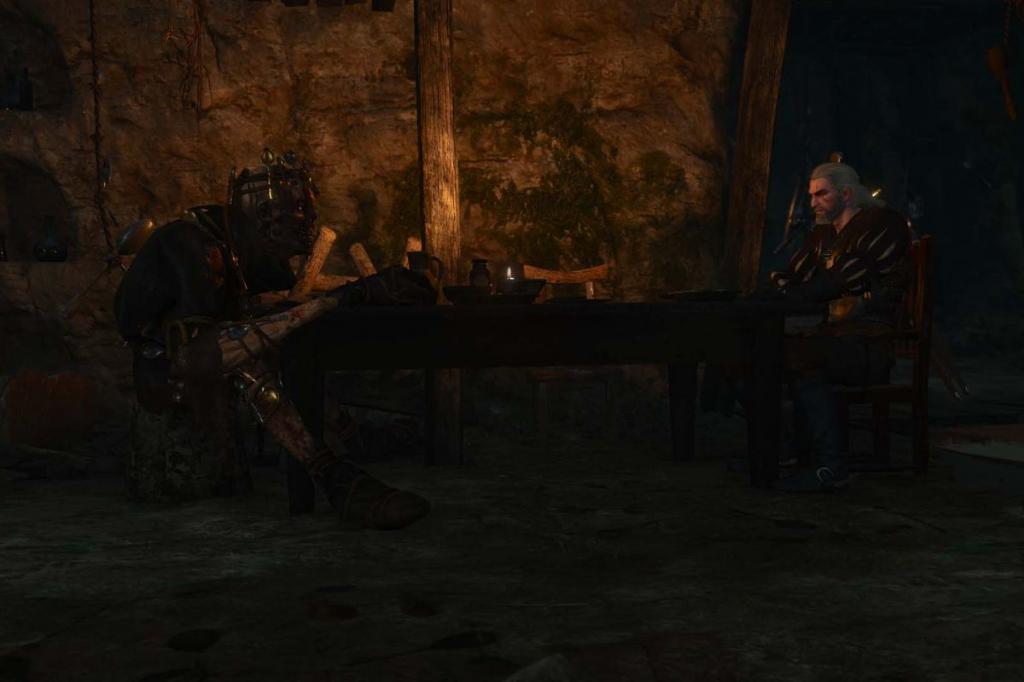 witch in the witcher 3