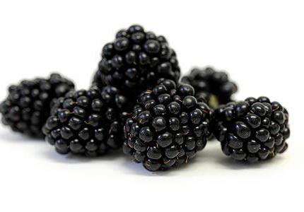 blackberry calories