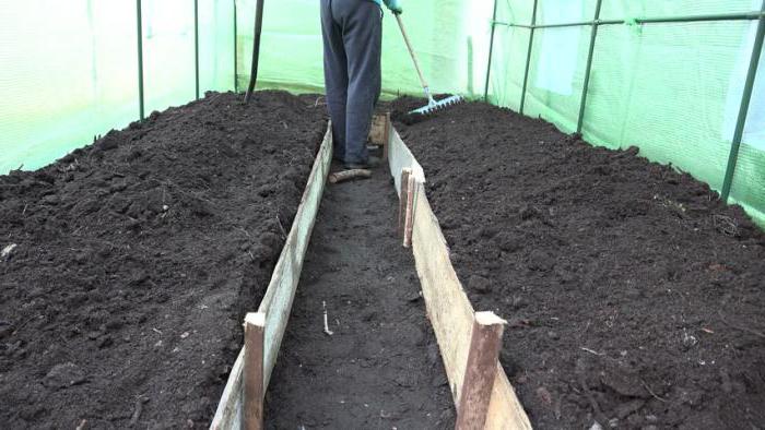 подготовка почвы в теплице