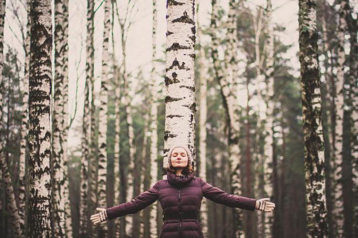 why dream birch with green leaves