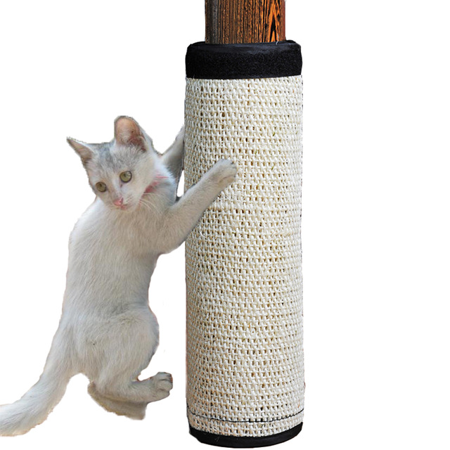 cat scratcher