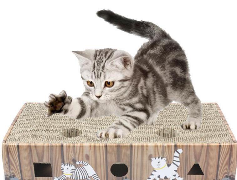 how to wean a kitten to tear wallpaper