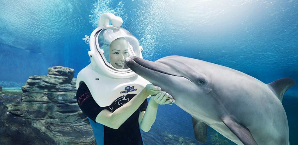 плавать с дельфином во сне