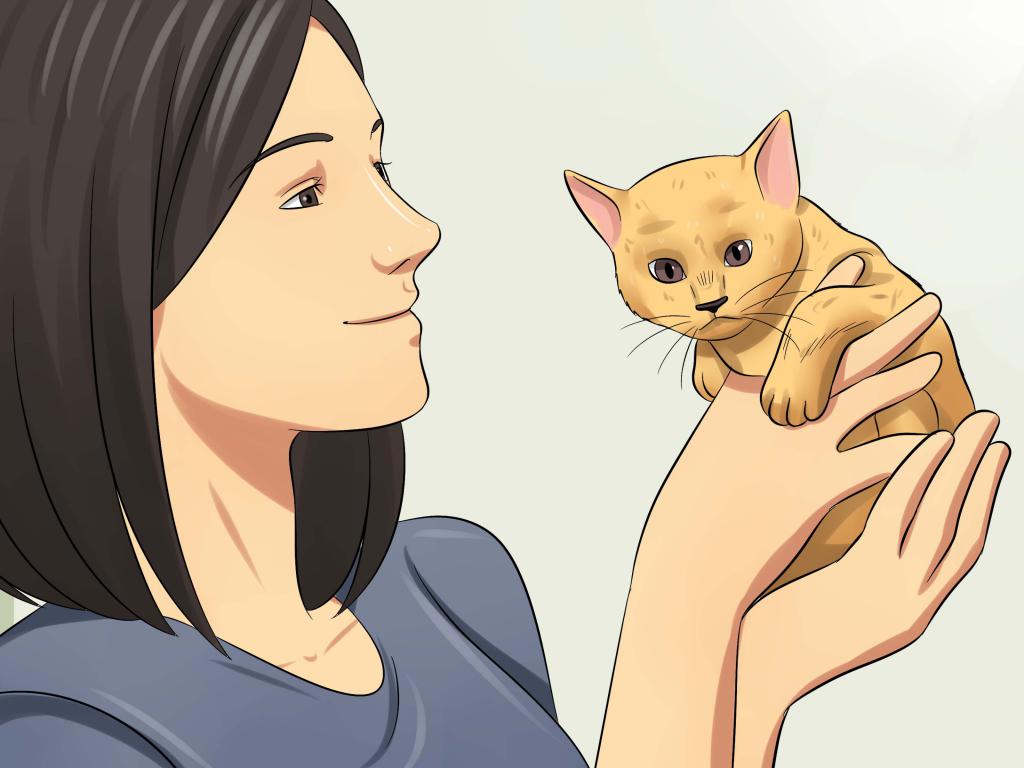 How to give birth to a cat at home?