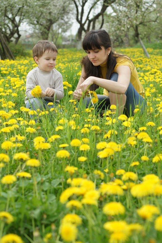 picking flowers in a dream