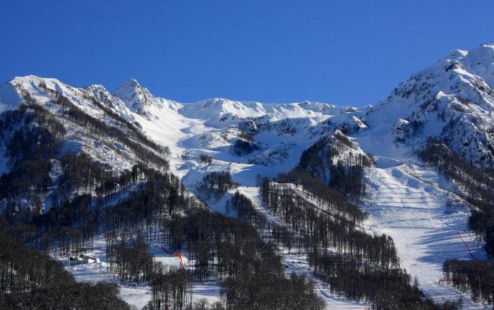 Rosa Khutor Krasnaya Polyana what to see in the summer