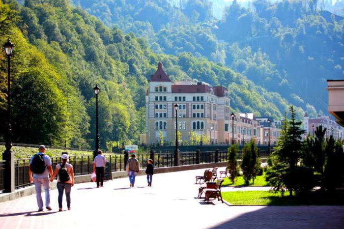 Sochi rose farm what to see