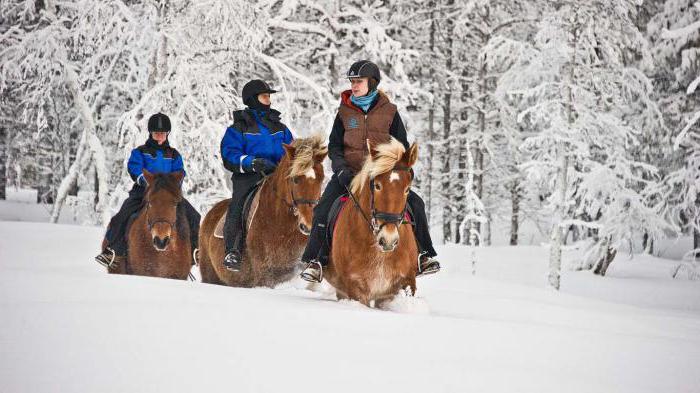 активный зимний отдых в москве