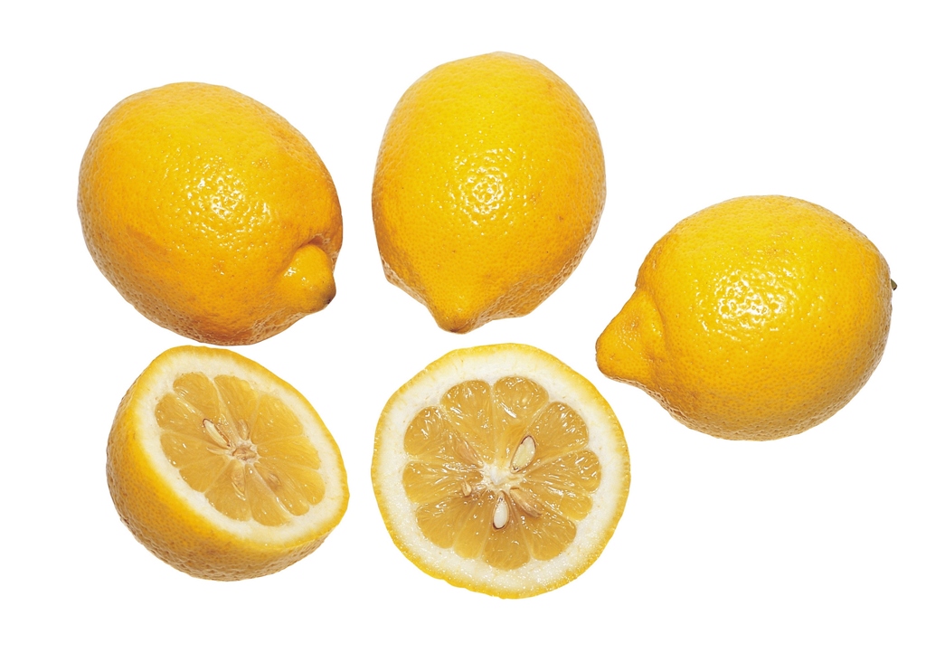 Лимон домашний фото