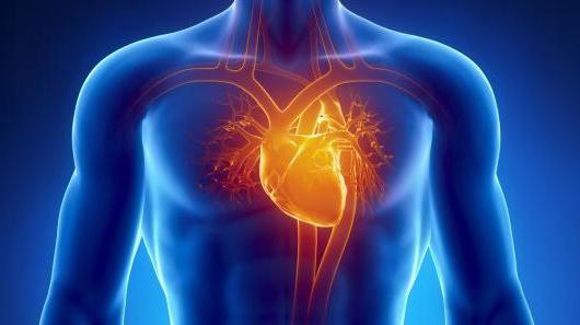фракция выброса сердца норма и патология