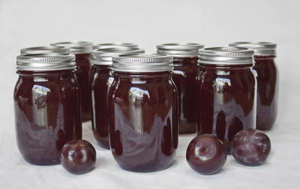 chocolate plum recipe