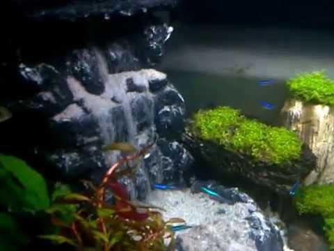 How to make a waterfall in the aquarium with your own hands